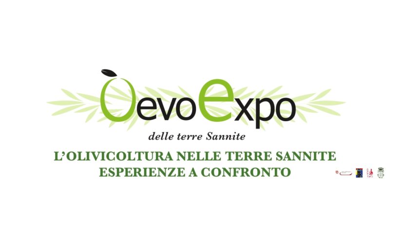 Oevo Expo - San Lorenzo Maggiore