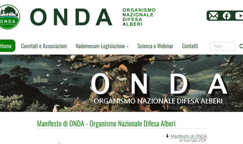 Nasce il sito www.ondalberi.it per offrire supporto a chi intraprende azioni per la difesa degli alberi